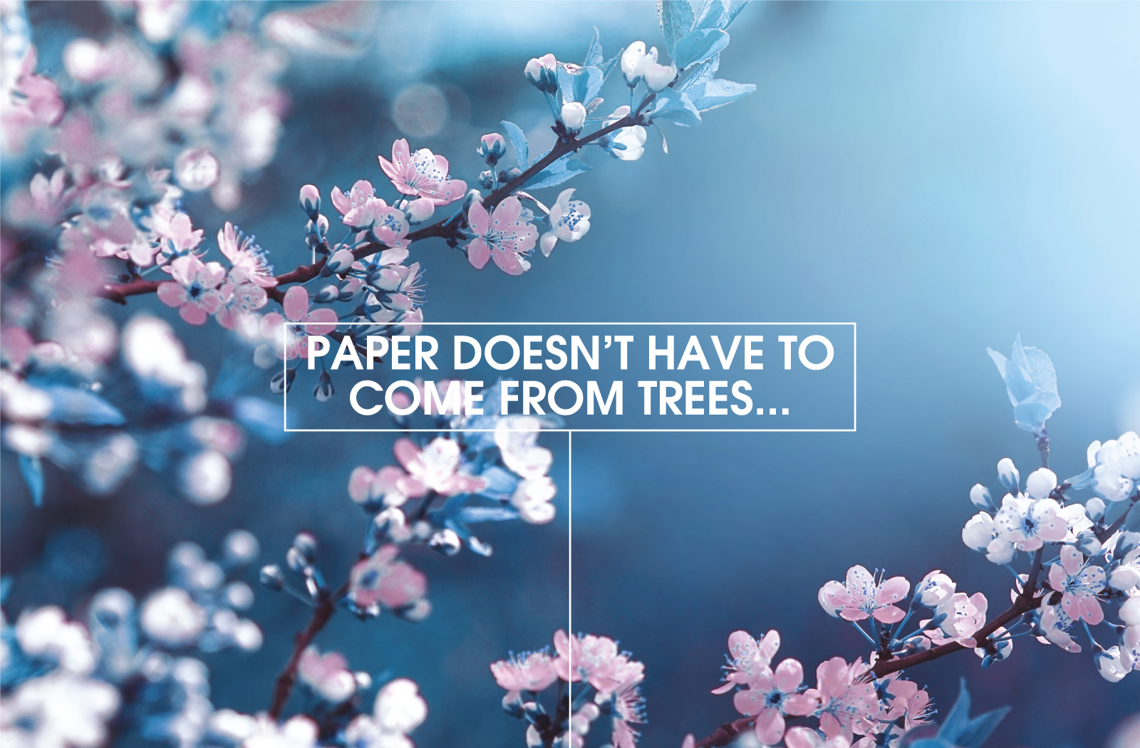 Paper Doesn't Have To Come From Trees