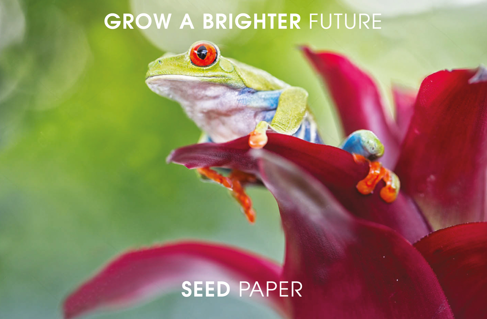 Seed Papers