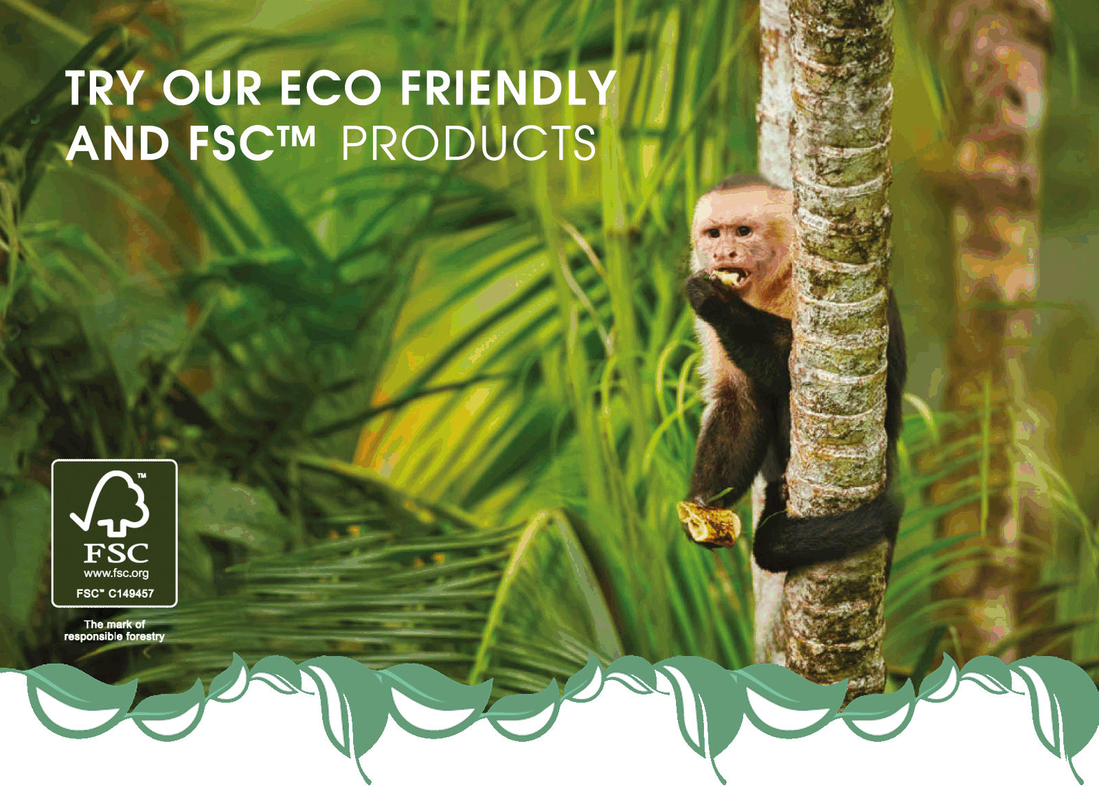 FSC And Eco Friendly Products