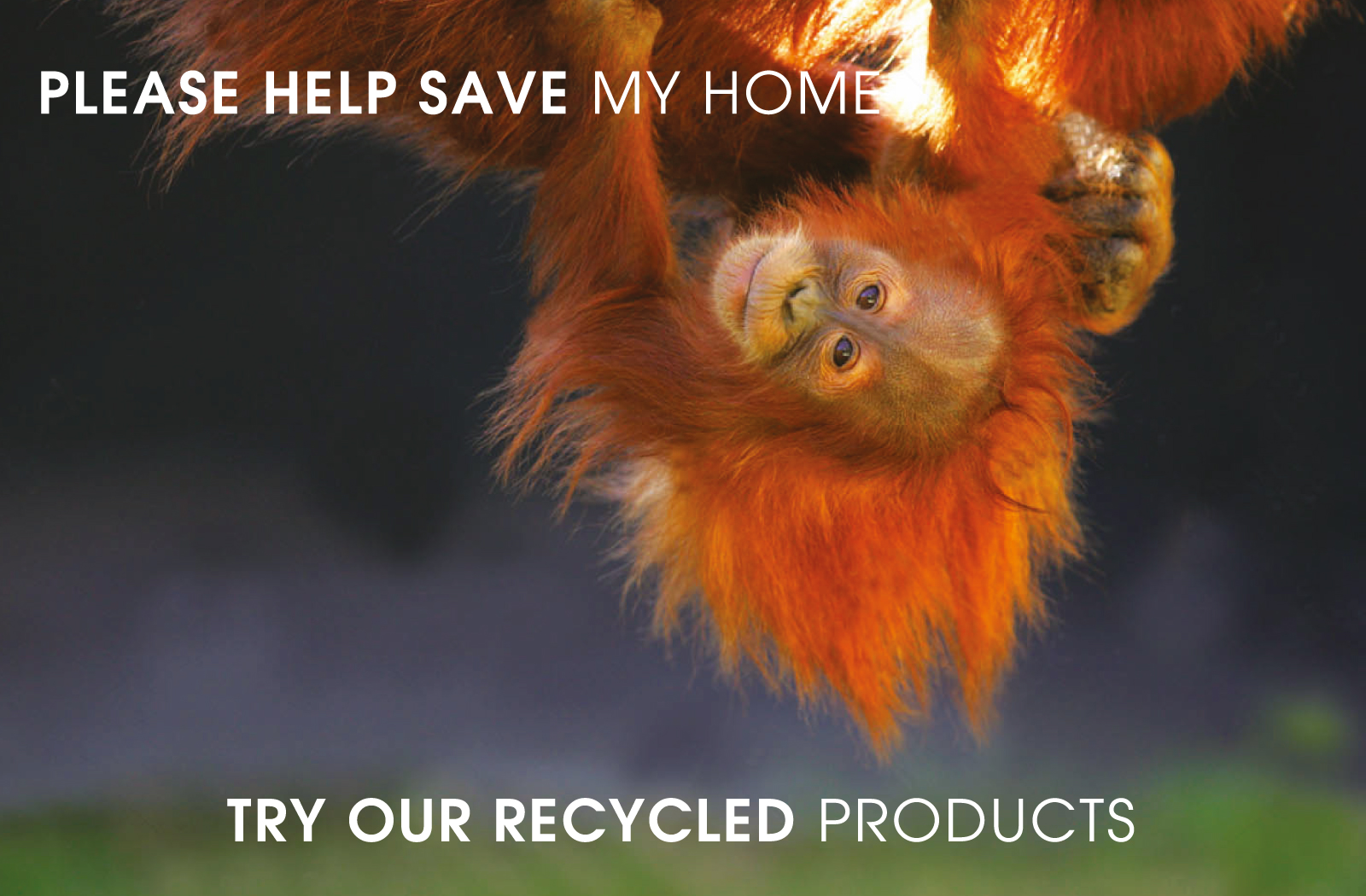 Recycled Products